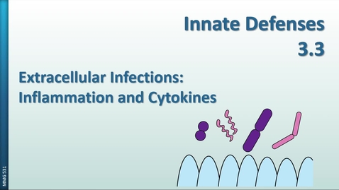 Thumbnail for entry MMG531 (03.3) - Innate Defenses - Extracellular Infections
