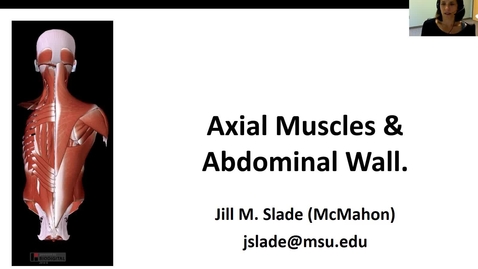 Thumbnail for entry Axial muscles Abd Wall