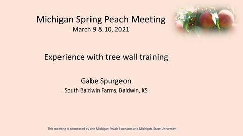 Thumbnail for entry Experience with peach tree wall training