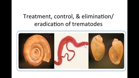 Thumbnail for entry WEEK-FOUR-CONTROL-OF-TREMATODES-HM-887