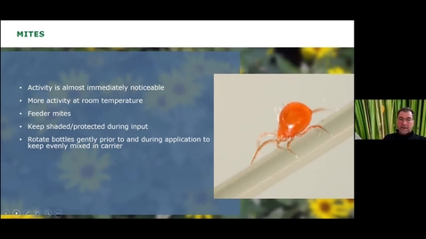 Thumbnail for Bug Bites! Session 3: Quality checks and post-delivery handling - 20 Oct 2020