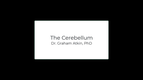 Thumbnail for OST571 (Lab 2.3) The Cerebellum