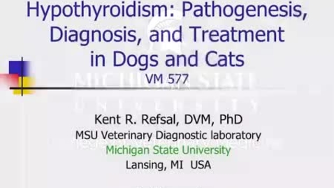 Thumbnail for entry VM 577-Hypothyroidism:  Pathogenesis, Diagnosis, and Treatment in Dogs and Cats
