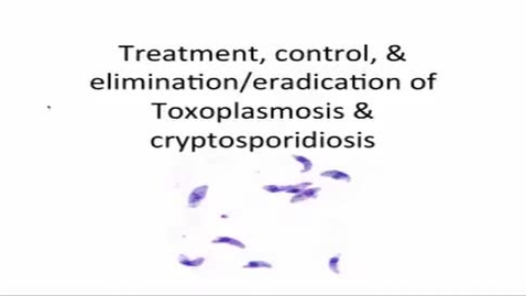 Thumbnail for entry HM887toxoplasmosis