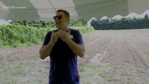 Thumbnail for Everything you need to know before planning a vineyard