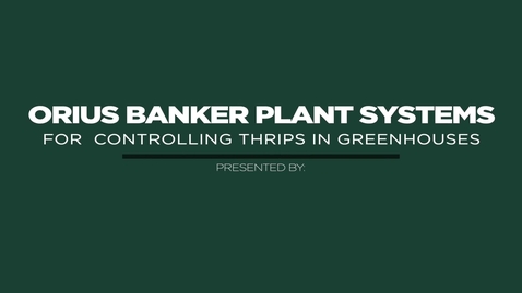 Thumbnail for Orius Banker Plant Systems for Controlling Thrips in Greenhouses