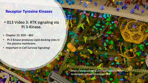 Thumbnail for 013 Video 3 RTKs and PI-3 Kinase