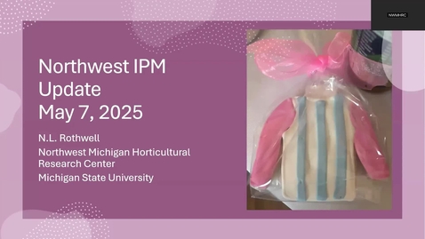 Thumbnail for May 7, 2025 MSUE Tree Fruit IPM Update for Northwest Michigan