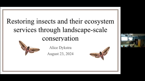 Thumbnail for Alice Dykstra Defense Seminar - Restoring insects and their ecosystem services through landscape-scale conservation