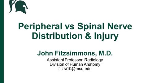 Thumbnail for entry ANTR510 (023) Peripheral nerve vs Spinal Nerve Injuries