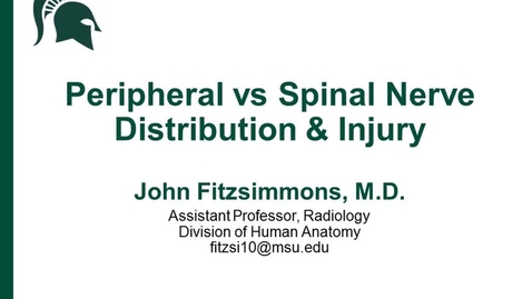 Thumbnail for ANTR510 (023) Peripheral nerve vs Spinal Nerve Injuries