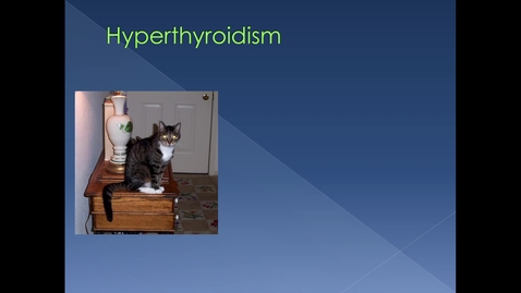 Thumbnail for entry VM 255 Hyperthyroidism