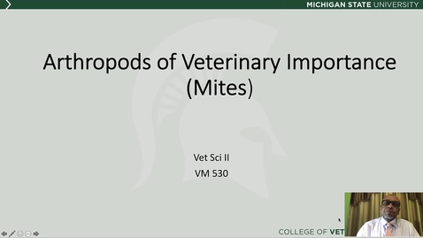 Thumbnail for entry VM 530-Ectoparasites Lecture Mites