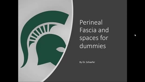 Thumbnail for Perineal Fascia and Spaces