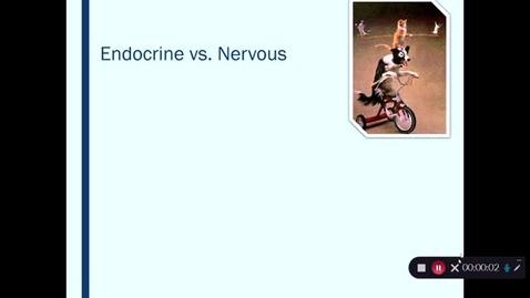 Thumbnail for entry Week 1 VM 130 Endocrine portion of Neuro and Endo