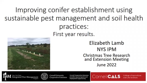 Thumbnail for entry 2022 CTRE: Improving Conifer Establishment Using Sustainable Pest Management And Soil Health Practices: First year results