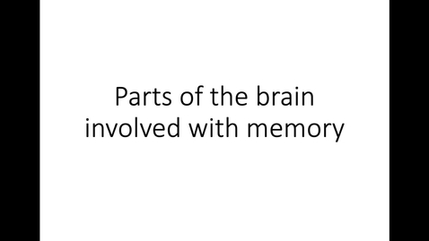 Thumbnail for entry Parts of the Brain Involved with Memory