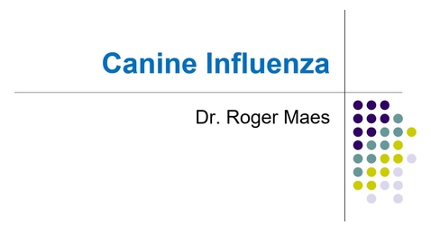 Thumbnail for entry VM 530-Canine influenza (2021)-Maes