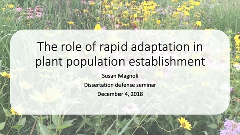 Thumbnail for entry The role of rapid adaptation in plant population establishment