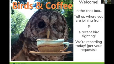 Thumbnail for  Birds and Coffee Chat_ Blackbirds -October 12, 2022