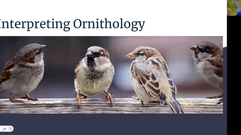 Thumbnail for entry MIMN SDO Interpreting Ornithology Part 1 Interpretation