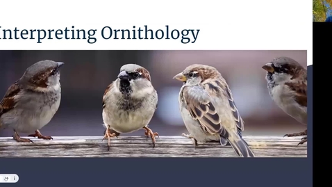 Thumbnail for MIMN SDO Interpreting Ornithology Part 1 Interpretation