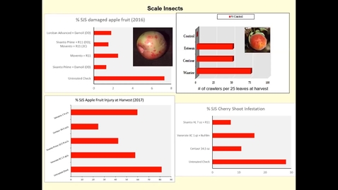 Thumbnail for entry Peach Tree Borer Management Options - Mike Reinke - Michigan Spring Peach Meeting 2022