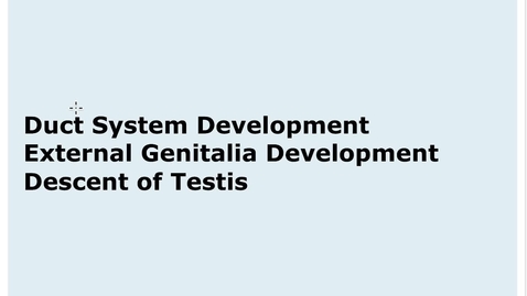 Thumbnail for entry 8-3 Duct System External Genitalia Descent of Testis