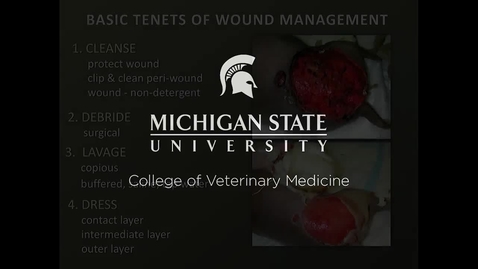 Thumbnail for entry VM 580-Wound Management Part 2-Stanley