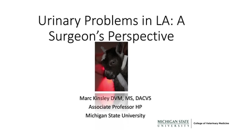 Thumbnail for entry VM 568-Urinary Problems in LA: A surgeons perspective