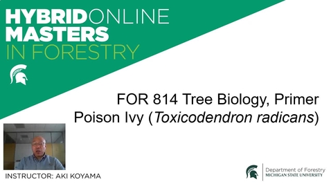 Thumbnail for FOR_814_Poison_Ivy_V3