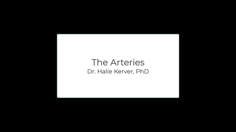 Thumbnail for OST571 (Lab 1.2) The Arteries