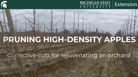 Thumbnail for Pruning High-Density Apples - Corrective Cuts for Rejuvenating an Orchard