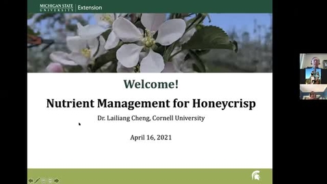 Thumbnail for entry Nutrient Management for Honeycrisp