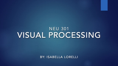 Thumbnail for entry Visual Processing