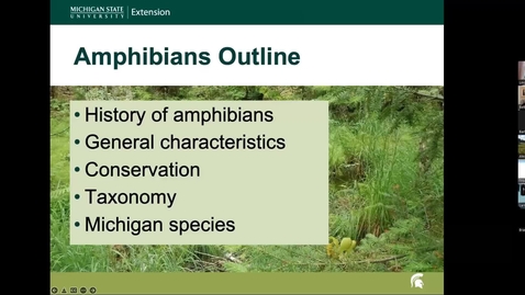 Thumbnail for entry MIMN SDO Herpetology: Amphibians *