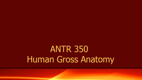 Thumbnail for AT&amp;T 2013 ANTR 350 FINAL