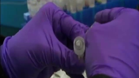 Thumbnail for HM841 Mod1Gene