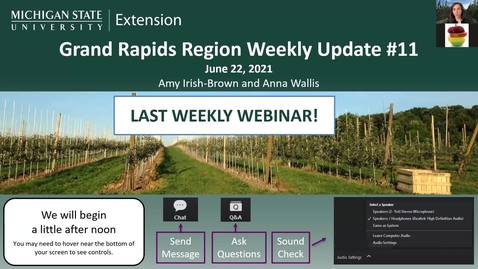 Thumbnail for Grand Rapids Region Weekly Update #11 June 23, 2021