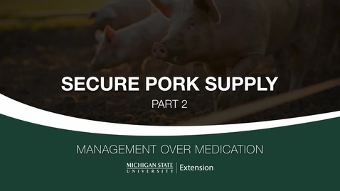 Thumbnail for Small Swine Farms Secure Pork Supply Part 2