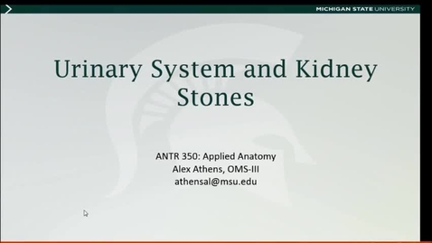 Thumbnail for entry Applied Anatomy Video 14: Urinary System and Kidney Stones
