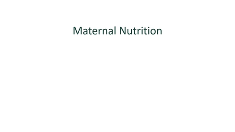 Thumbnail for PH861 Module 10- Maternal Nutrition