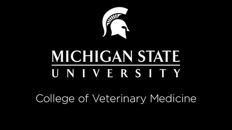 Thumbnail for entry VM 577-Disorders of Hypocalcemia in Dogs and Cats