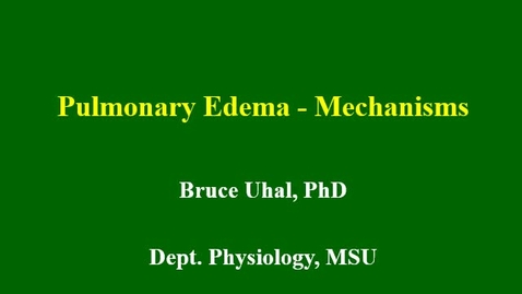 Thumbnail for entry Pulmonary Edema - Mechanisms MPEG4 12min 13sec