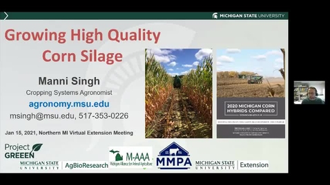 Thumbnail for Successful Corn Silage Production Dr. Manni Singh  Jan 15 2021