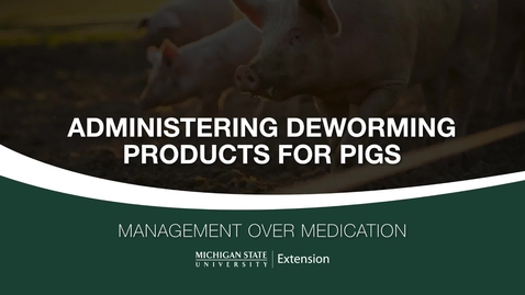 Thumbnail for Administering Deworming Products for Pigs