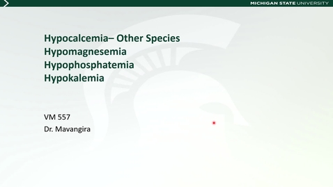 Thumbnail for entry VM 577-Other mineral/electrolyte disorders of ruminants