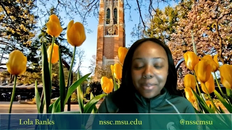 Thumbnail for NSO D2L Welcome Video
