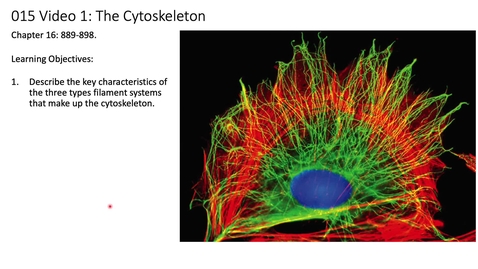 Thumbnail for entry 015 Video 1 The cytoskeleton