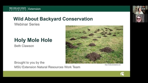 Thumbnail for Wild About Backyard Conservation Webinar Series: Holy Mole Hole